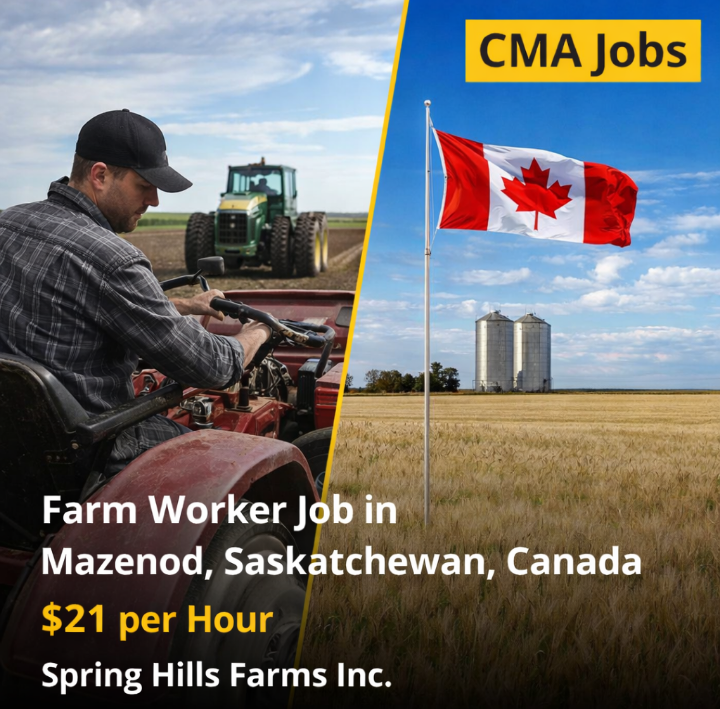 Farm Worker Job in Mazenod, Saskatchewan, Canada | $21 per Hour | Spring Hills Farms Inc