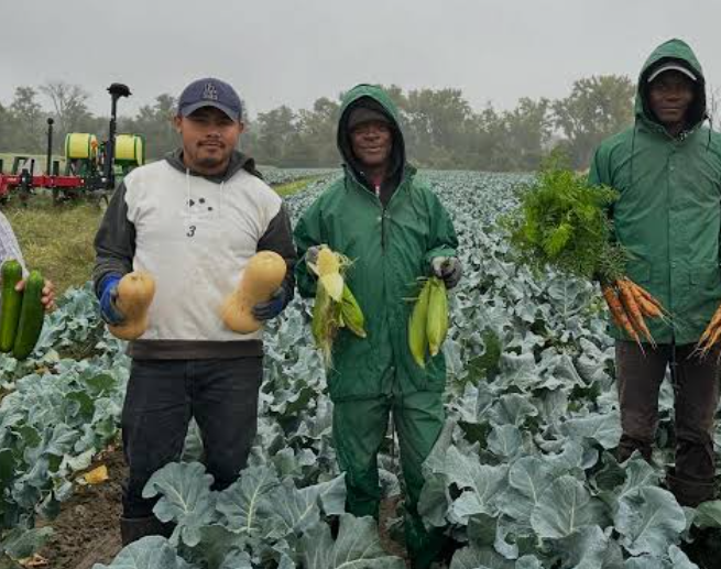 General Farm Worker Job in Kamloops, BC, Canada | $17.85 per Hour | Heffley Farms